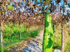 -汉长安城未央宫国家考古遗址公园