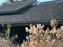 -同里国家湿地公园