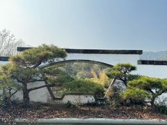-杭州植物园