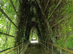 -张亮麻辣烫(印象汇店)