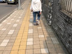 -南山植物园