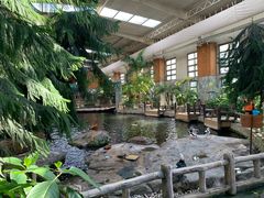 -南宫五洲植物乐园