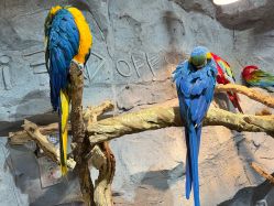 -Zoolung Zoolung动物主题公园(海信广场店)