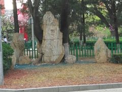 -双榆树公园
