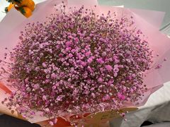 -大汗行宫园林餐厅