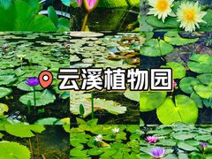 -云溪植物园