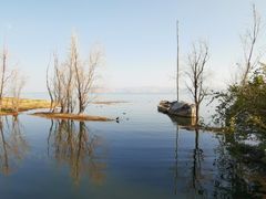 -洱海月湿地公园