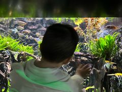 -天目湖涵田度假村