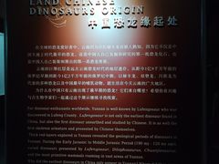 -云南省博物馆