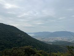 -三亚亚龙湾人间天堂鸟巢度假村