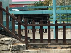 -酷鱼垂钓CLUB(朝阳区博大路店 )