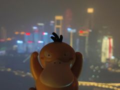 -WFC会仙楼观景台