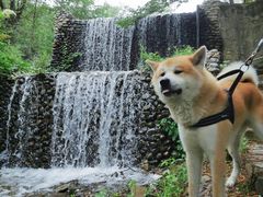 -静之湖度假区