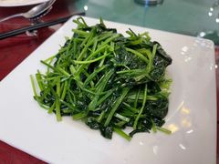 -锦江饭店锦北楼-锦江厅