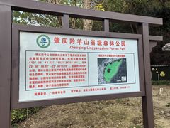 -羚羊峡古栈道森林公园