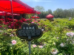 -洛阳市隋唐城遗址植物园