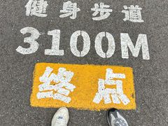 -三门江国家森林公园