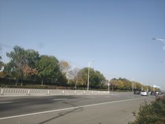 -东郊湿地公园