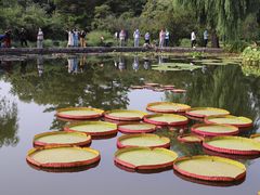 -国家植物园南园