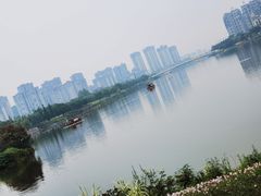 -眉山湿地公园(东坡区)