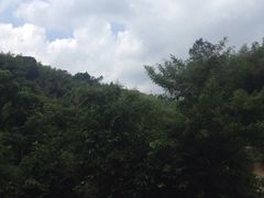 iphone_upload_pic-千泷沟大瀑布旅游区