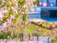 -元大都城垣遗址公园