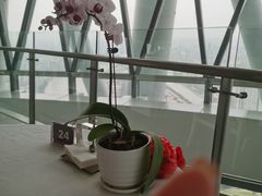 -广州塔卢特斯法国旋转餐厅