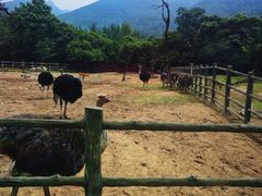 -西安秦岭野生动物园