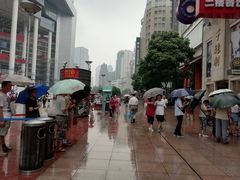 -泰康食品(南京东路店)