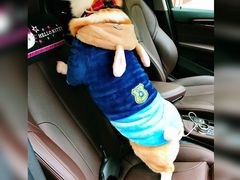 -上海崇明金茂凯悦酒店