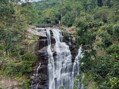 -海南热带雨林国家公园吊罗山景区