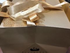 -BLACKSWAN黑天鹅(环球店)