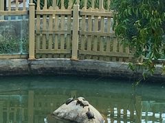 -广东惠东海龟国家级自然保护区