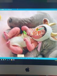 -童趣自然光儿童摄影工作室