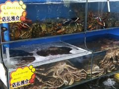 水产区-蚝专家(北滘店)