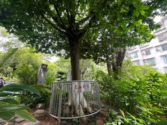 -广州神农草堂中医药博物馆