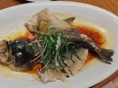 海鲈鱼-顺风汤馆·广府粤菜(江宸天街店)