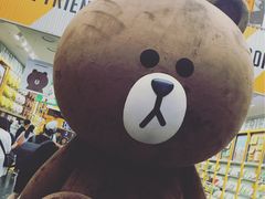 -line friends(明洞旗舰店)