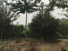 -永定河休闲森林公园