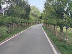 -武汉紫薇都市田园