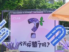 -坂田天虹