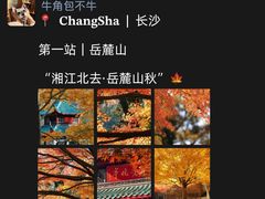 -长沙滨江文化园