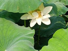 -莲池书院博物馆