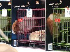 -宝龙城(杭州滨江店)