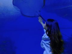 -福州罗源湾海洋世界旅游区