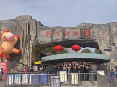 -合肥野生动物园