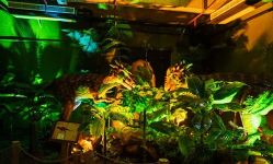 -恐龙探索乐园(磁器口店)