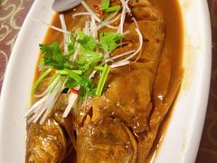 頭鱼-春来酒家