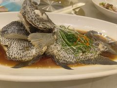 -骏莱海鲜鱼港(五角场店)