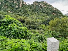 -大岭沟猕猴桃谷风景区